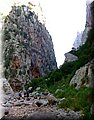P6230839.JPG