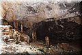 P6230847.JPG