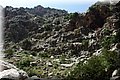 P6230862.JPG