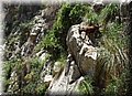 P6230863.JPG