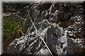 P6230868.JPG