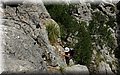 P6230874.JPG