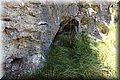 P6230887.JPG