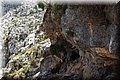P6230888.JPG