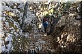 P6260936.JPG