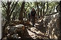 P6260940.JPG