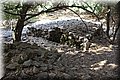 P6260941.JPG
