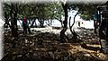 P6260949.JPG