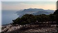 P6260950.JPG