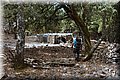 P6260965.JPG