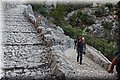 P6301082.JPG