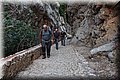 P6301085.JPG