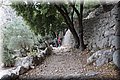 P6301089.JPG