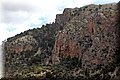 P6301096.JPG