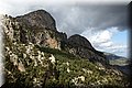 P6301097.JPG
