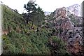 P6301100.JPG