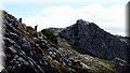 P6301120.JPG
