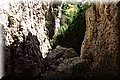 P6301127.JPG