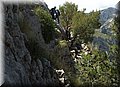 P6301135.JPG