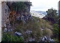 P6301137.JPG