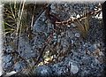 P6301139.JPG