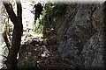 P6301160.JPG