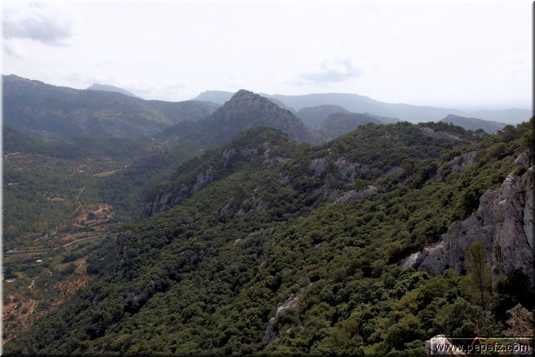 P7031194.JPG