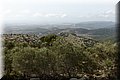 P7031191.JPG