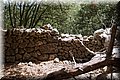 P7031211.JPG