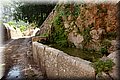 P7031253.JPG