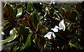 P7031255.JPG