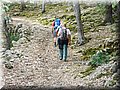resized_DSCN2252.jpg