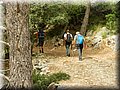 resized_DSCN2255.jpg