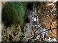 resized_DSCN2264.jpg