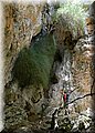 resized_DSCN2265.jpg