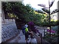 DSC05844.jpg
