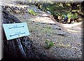 DSC05847.jpg