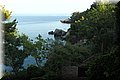 P7171264.JPG