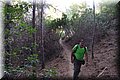 P7171266.JPG