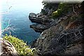 P7171278.JPG