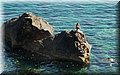 P7171288.JPG