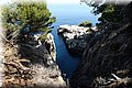 P7171307.JPG
