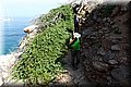 P7171320.JPG