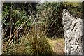 P7171347.JPG