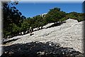 P7211375.JPG
