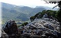 P7211378.JPG