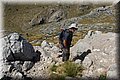 P7211394.JPG