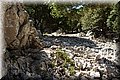 P7211406.JPG