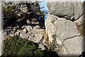 P7241432.JPG