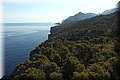 P7241436.JPG